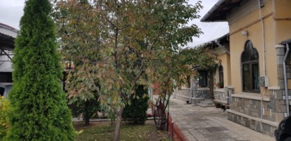 buna-vestire-zona-casa-3-camere-teren-631-mp-la-95900-euro-1